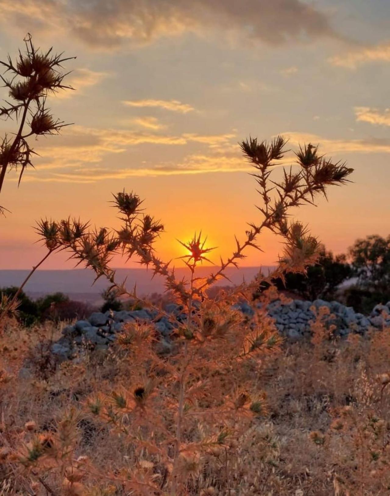 A Dimora Di Nene Villa Marina di Modica Dış mekan fotoğraf